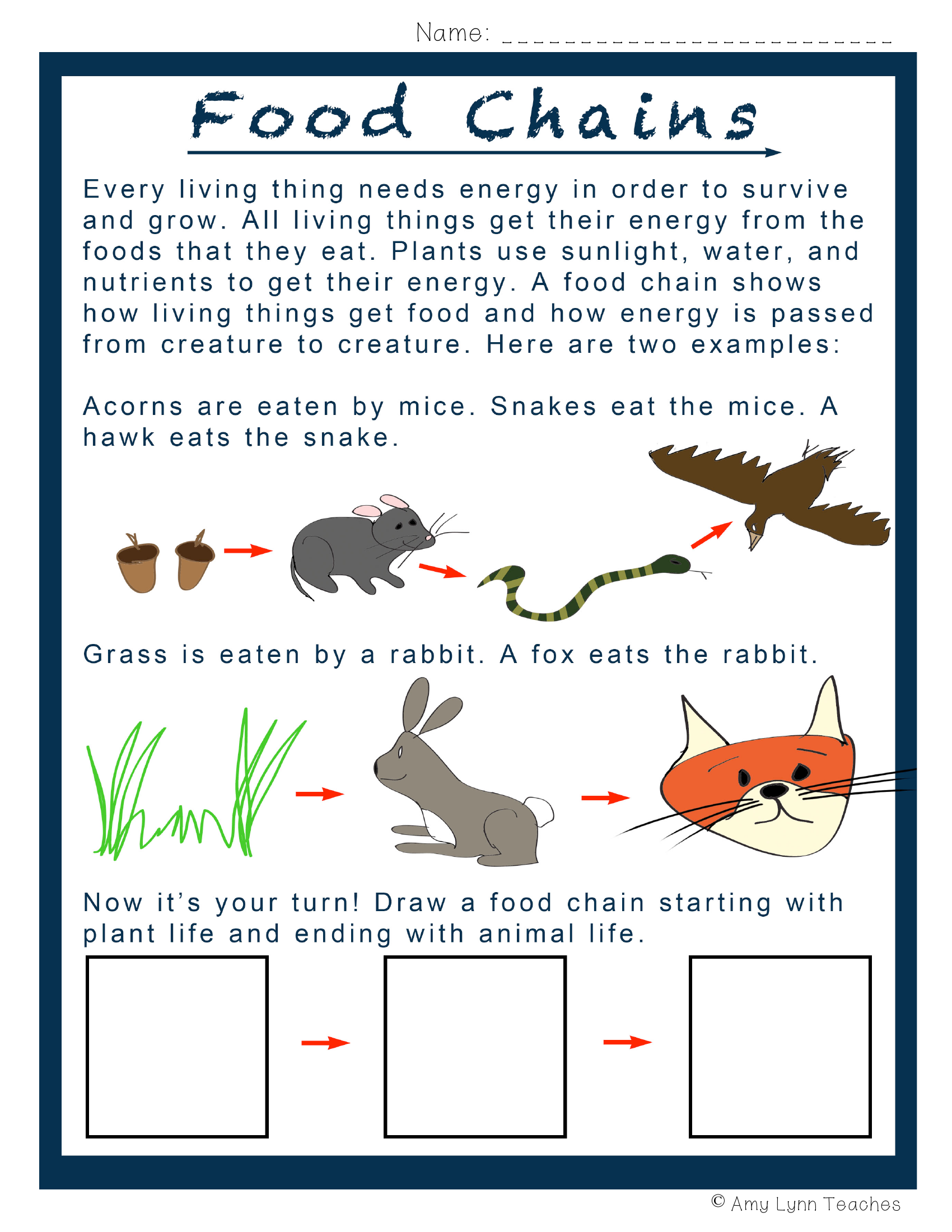 Worksheet Zone Biology Diagrams