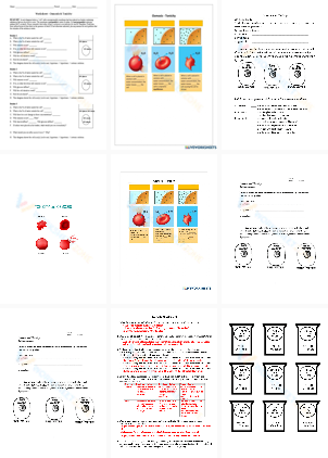 Osmosis and tonicity worksheets