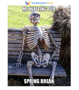 15 Funny Spring Break Memes to Kick Off Your Break