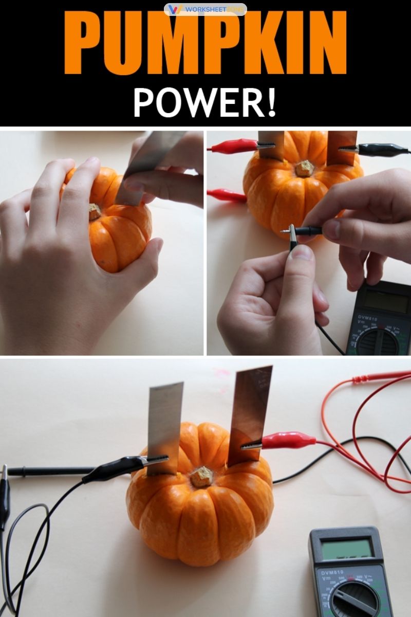 Pumpkin circuit challenge