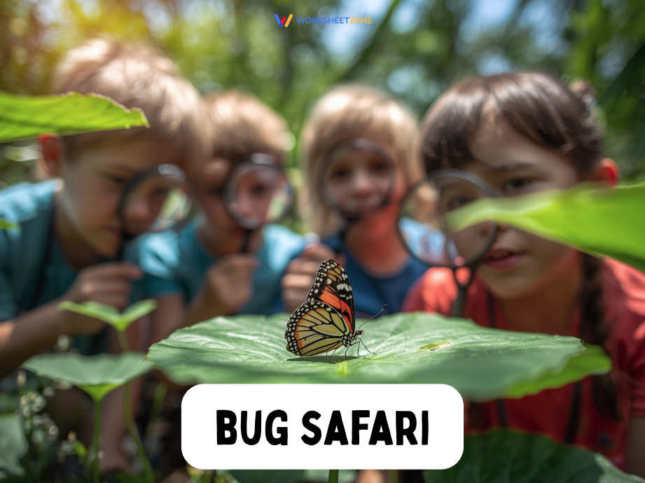 Bug safari