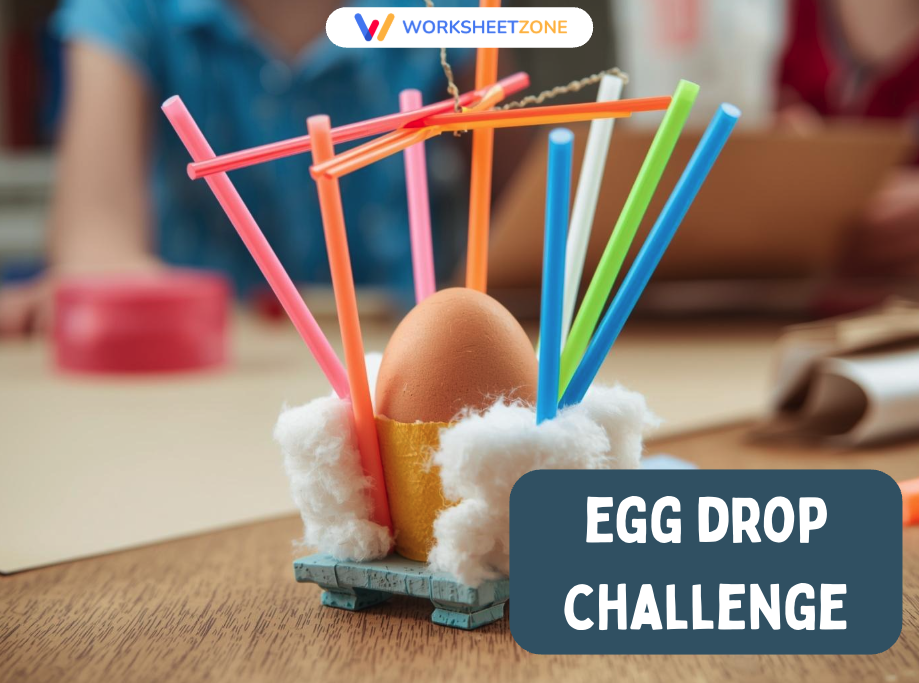Egg drop challenge