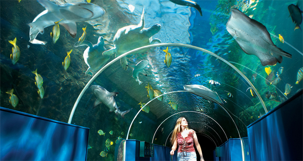 Oceanarium オーシャナリウム ボーンマス 観光地 写真 留学thank You