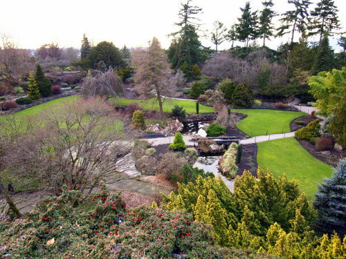 Queen Elizabeth Park クイーンエリザベスパーク バンクーバー 観光地 口コミ 評判 画像 留学thank You