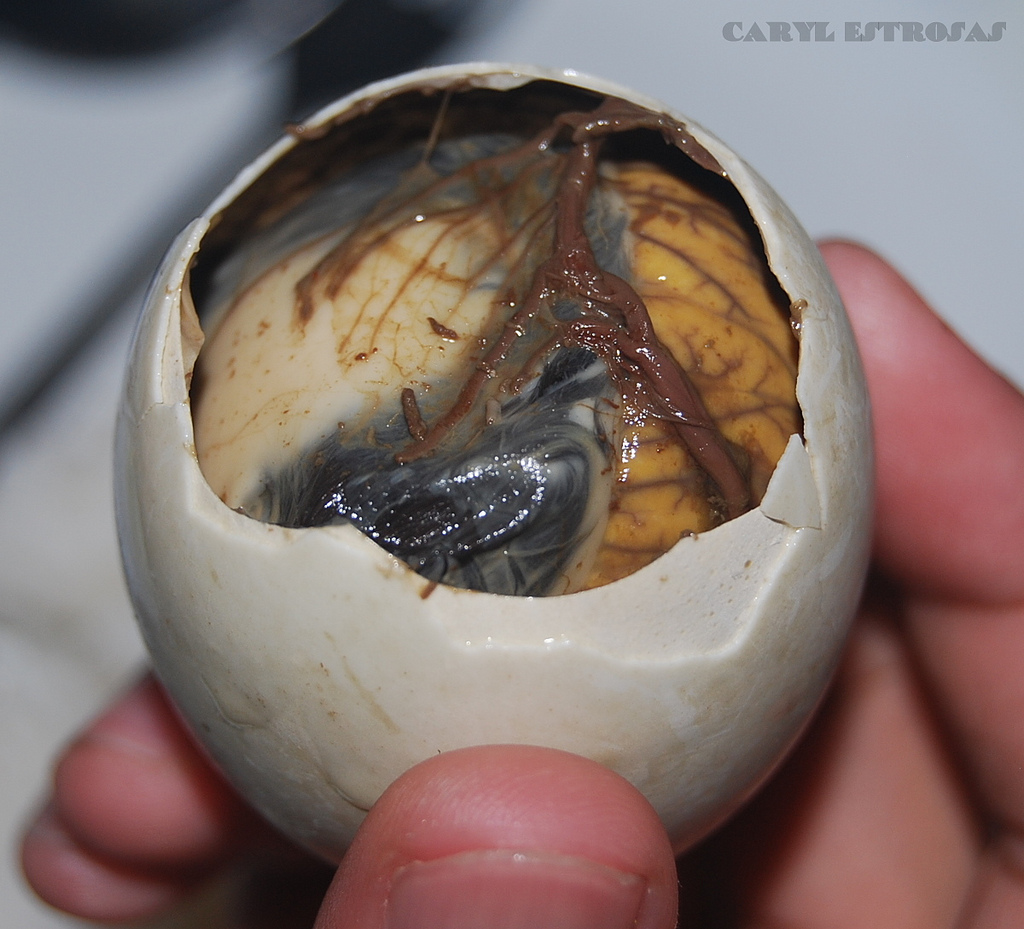 10.	度胸試しといえばこの一品「Balut(バロット)」