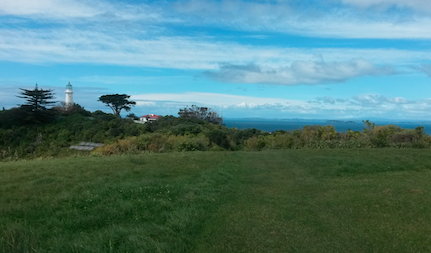 チリチリマタンギ島（Tiritiri Matangi Island）