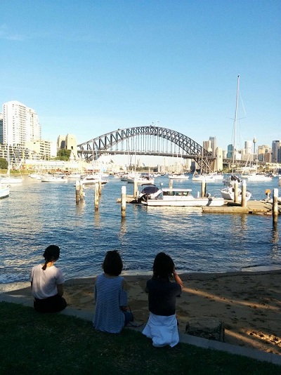 秘密の花園からLavender Bay （ラベンダーベイ）へ