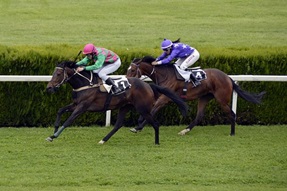 イベント感を感じたいひとにオススメは、、、New Year’s Day Races