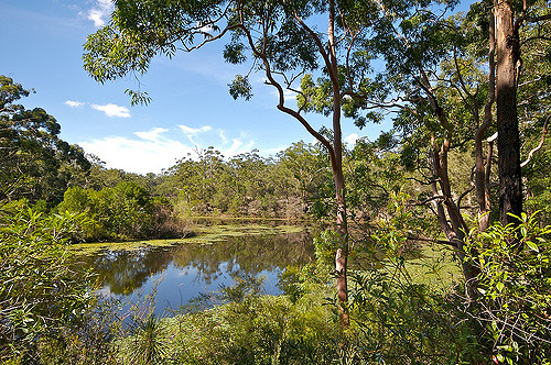 Lake Parramatta (パラマッタ湖)でリアルなオージーの休日