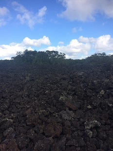 2. 火山地ならではの．．．