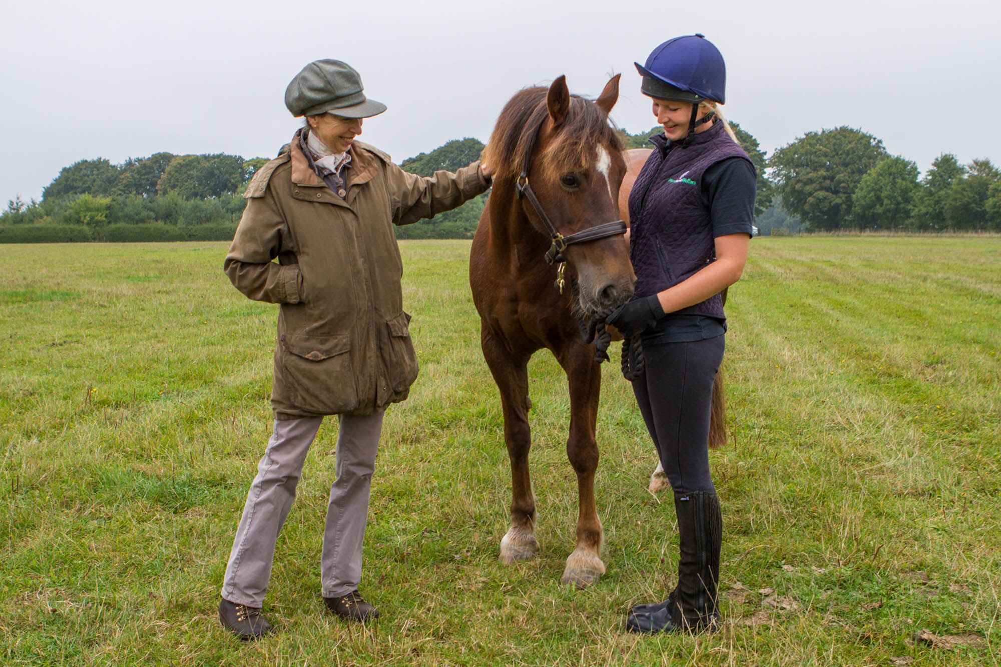 Our Trustees - World Horse Welfare