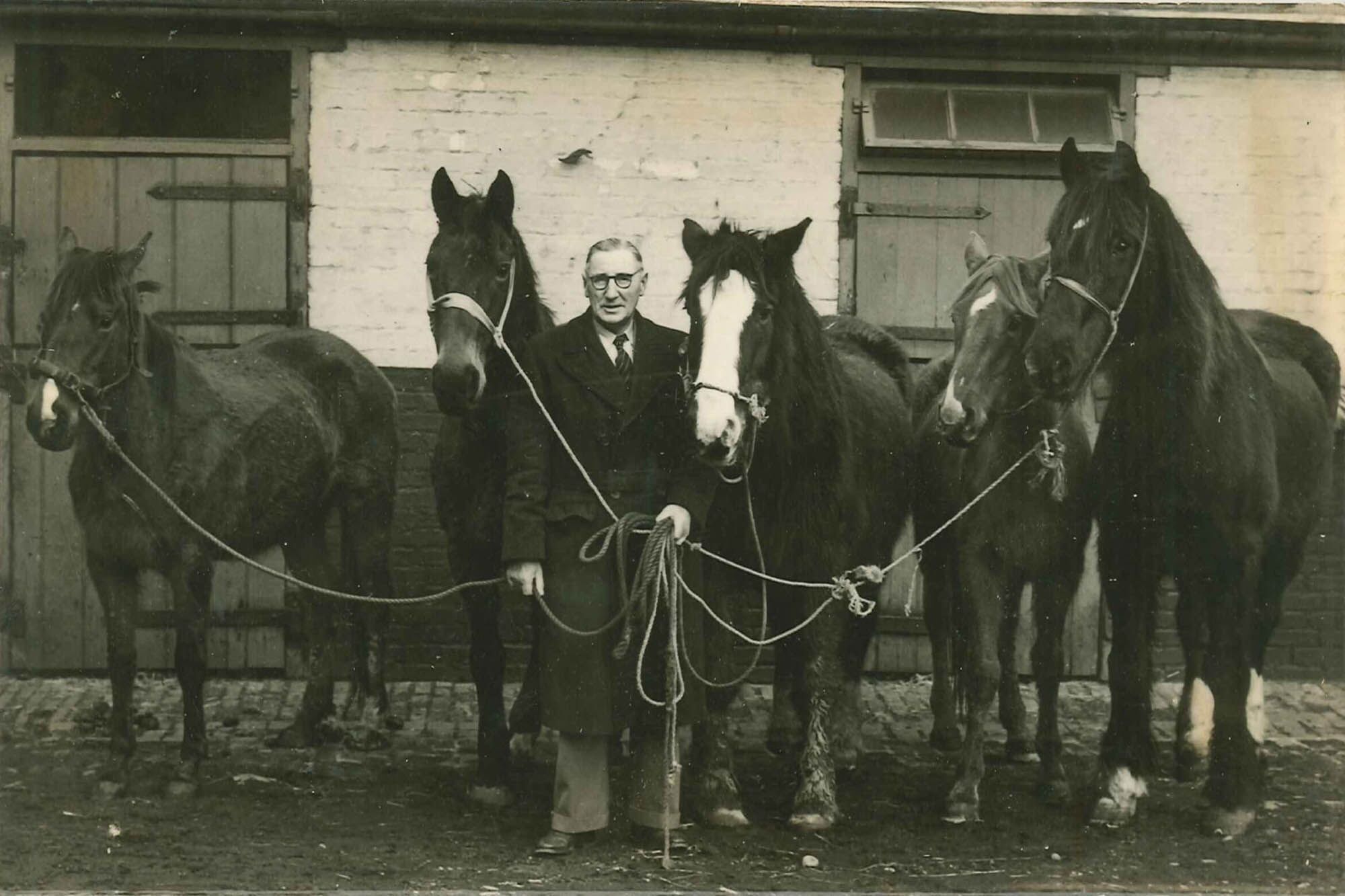 Our History - World Horse Welfare