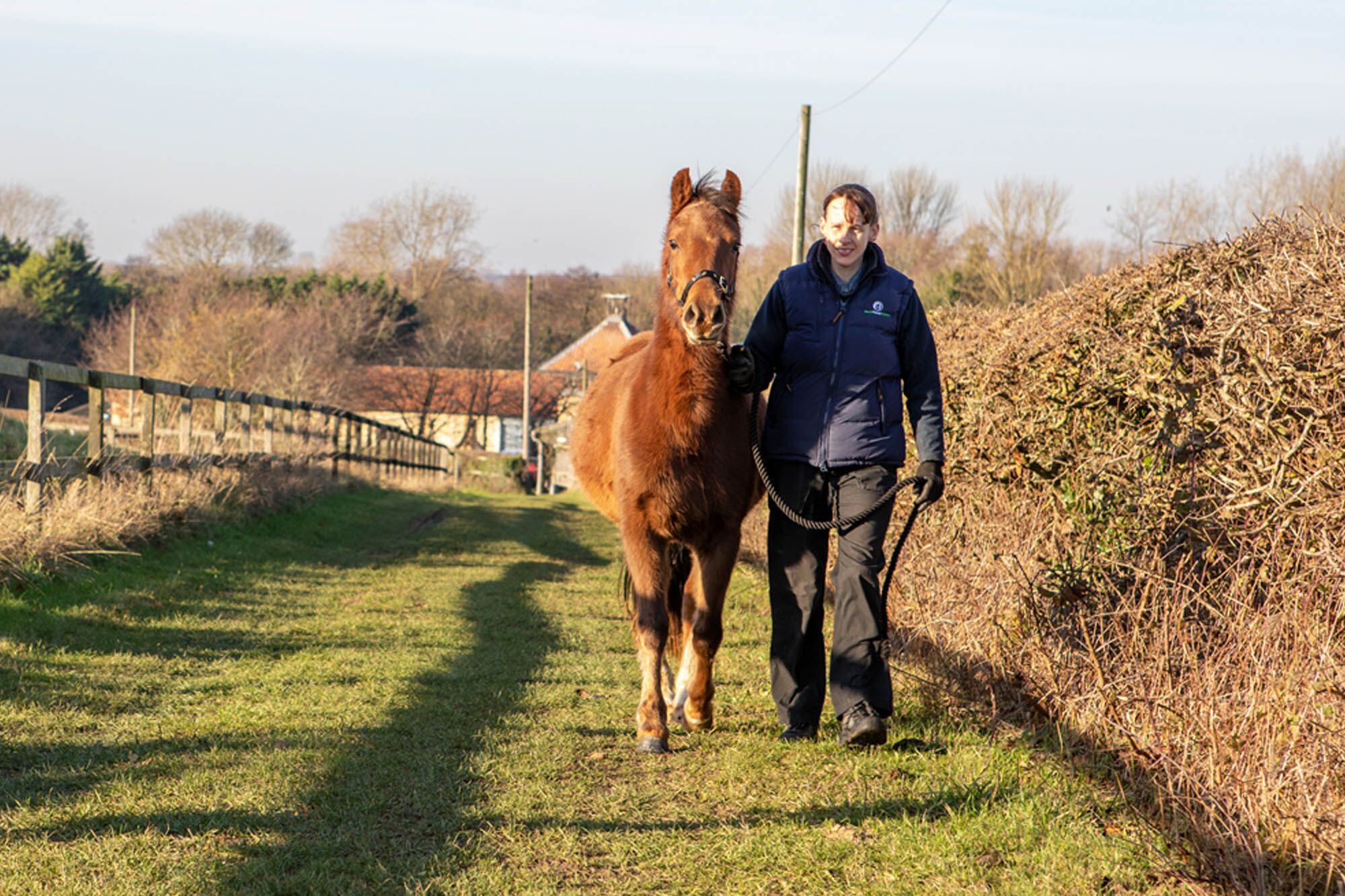 Our People - World Horse Welfare