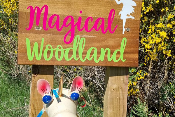 A wooden sign with 'magical' written in pink letters and 'woodland' written in green letters