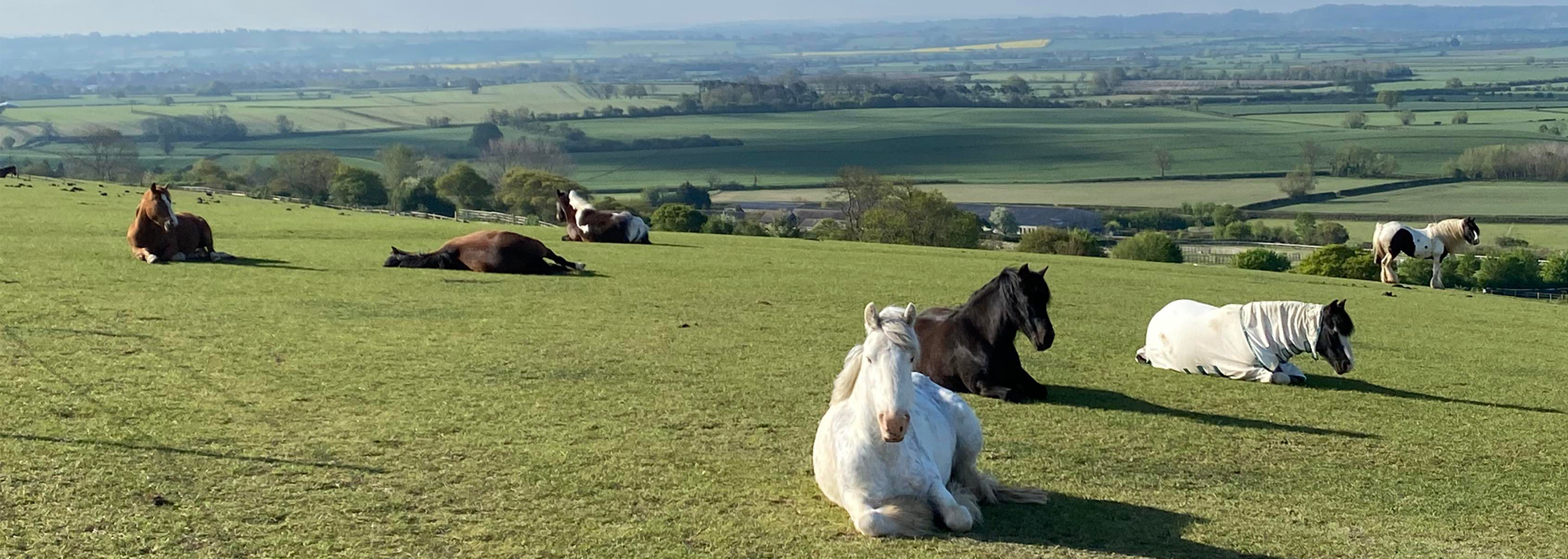 Glenda Spooner Farm