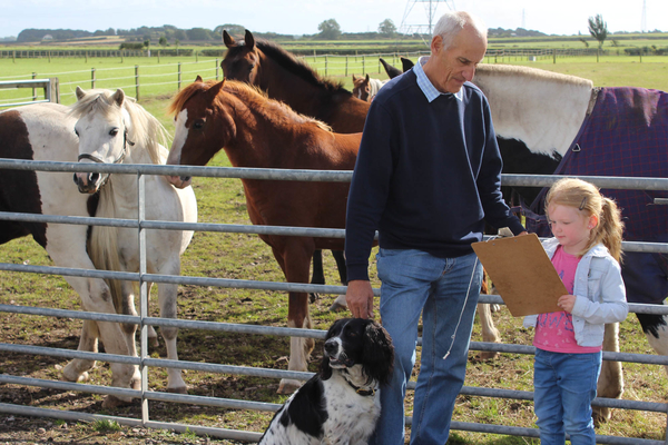 A family with pet dog standing next to a paddock of horses