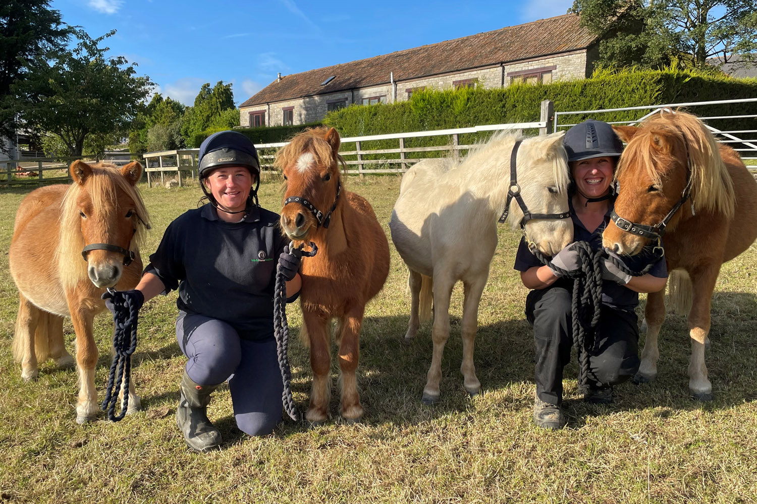 Caring for 19 unhandled ponies? All in a day’s work!