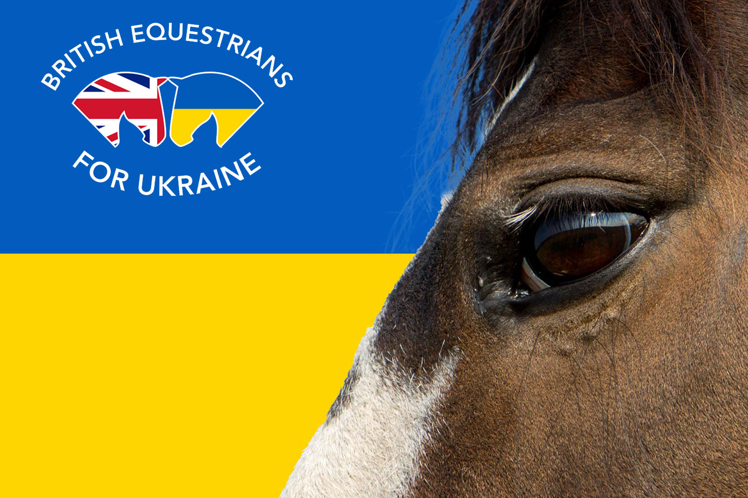 British Equestrians for Ukraine: week ten update