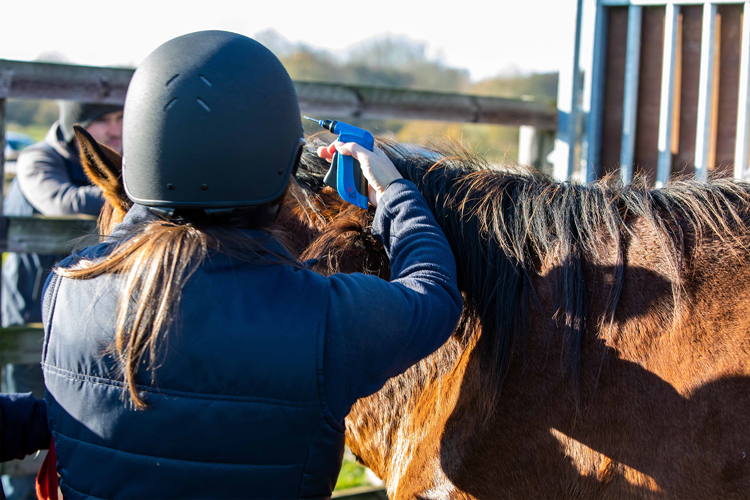 Consultation on equine ID shake up is of ‘pivotal importance’