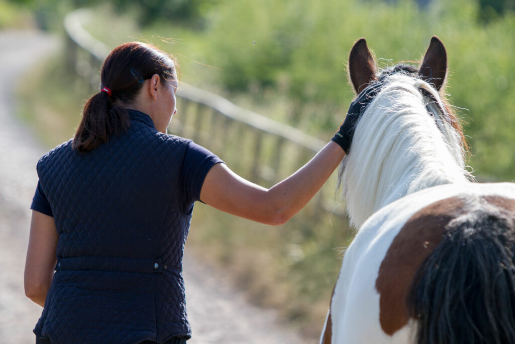 Handler stroking skewbald pony on the neck