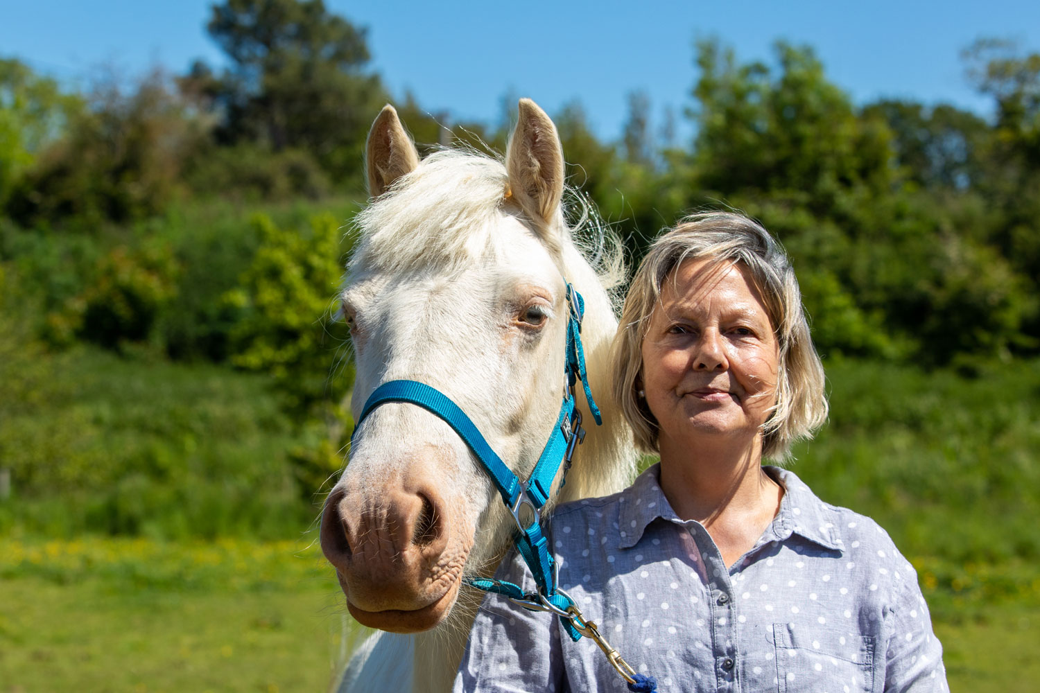 Supporting leisure horses and owners