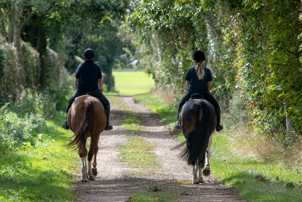 Two horses and riders hacking down a track between trees