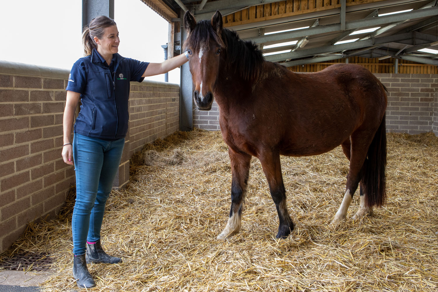 Helping horses in the UK