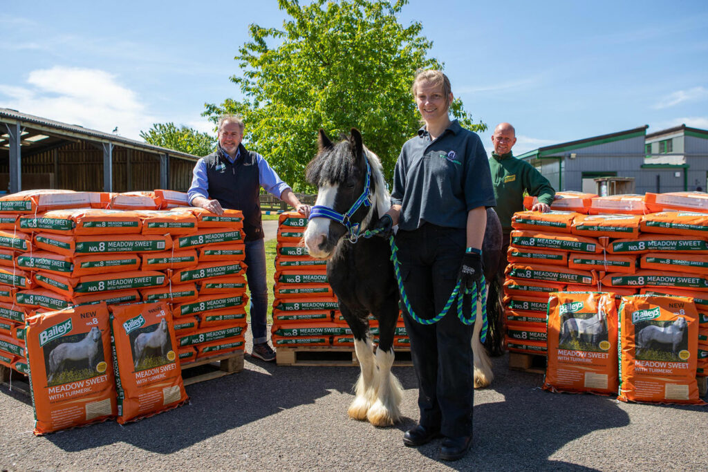 A female groom stood holding a piebald pony, wearing a World Horse Welfare branded headcollar, stood in front of three pallets stacked full of Baileys Horse Feeds products