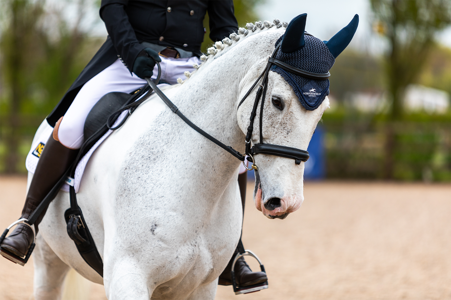 Unaffiliated Dressage – Penny Farm