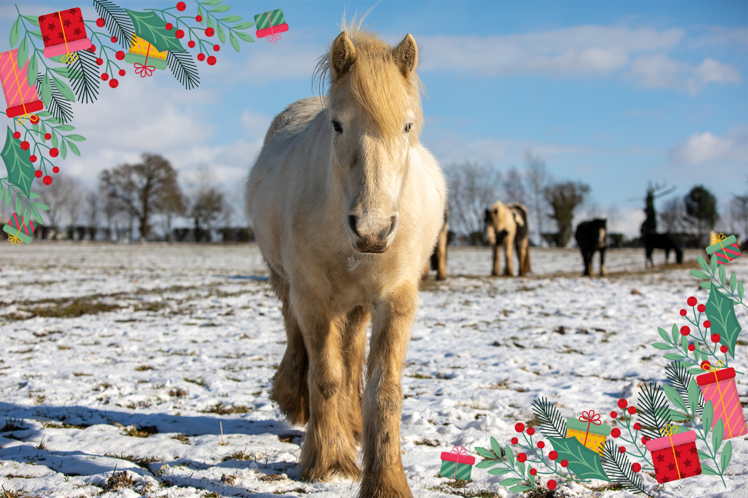 Christmas wreath making and Afternoon tea – 11:00am