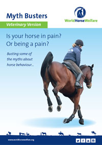 Cover image of myth busters guide to ridden horse behaviour