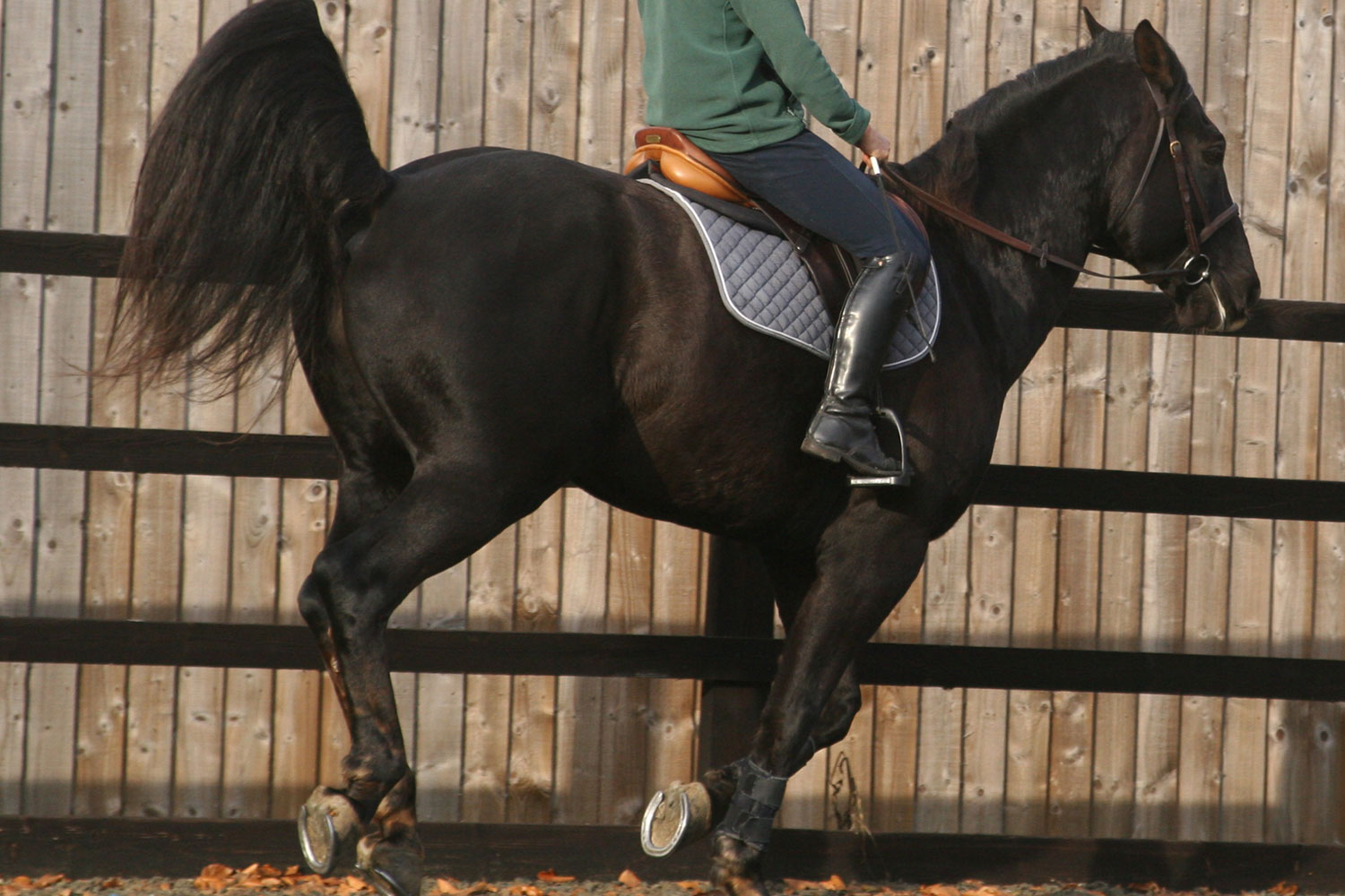 Ridden issues: troubleshooting unwanted behaviours
