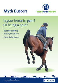 Cover image of myth busters guide to ridden horse behaviour