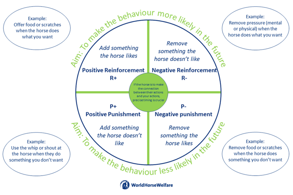 Graphic explaining the different ways in which equine behaviour can be encouraged or discouraged
