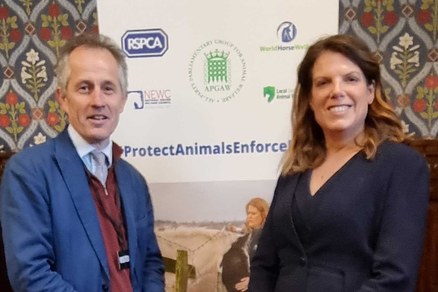 World Horse Welfare attend House of Commons animal welfare roundtable discussion