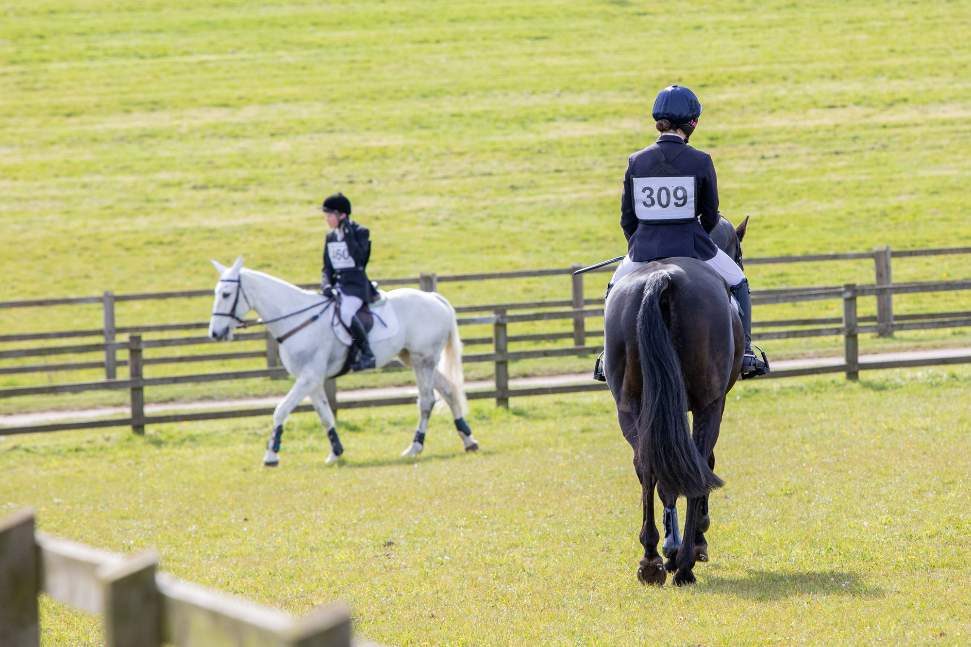 Equestrian sport should be brave and proactive on welfare to maintain public acceptance
