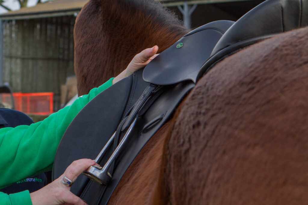 The arms of a person wearing a green jumper checking the fit of a saddle to a bay horse
