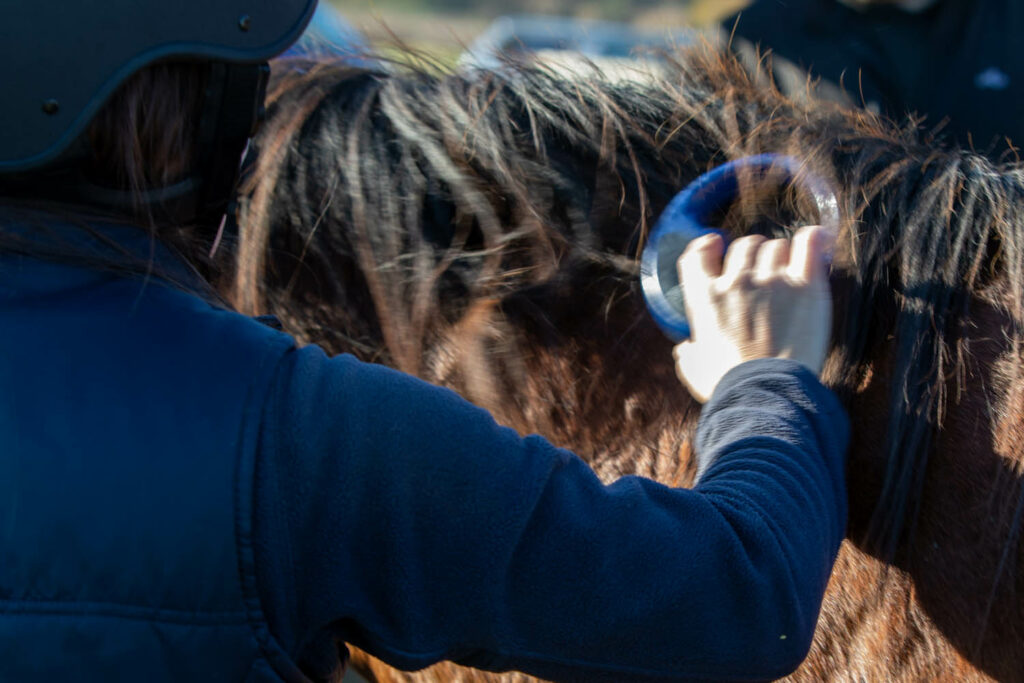 The right arm and hand of a person using a microchip scanner on the neck of a bay horse