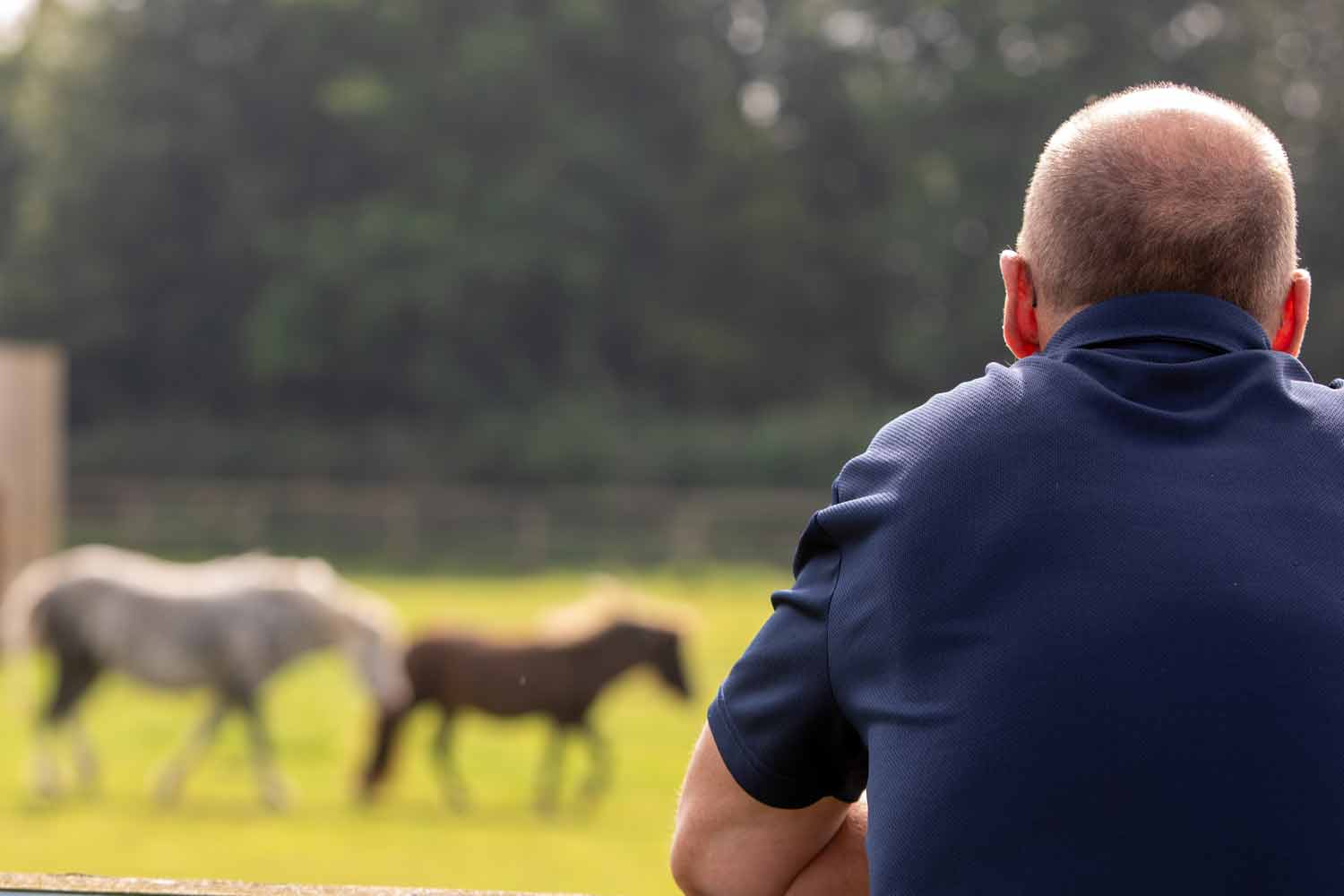 Help for Horse Owners