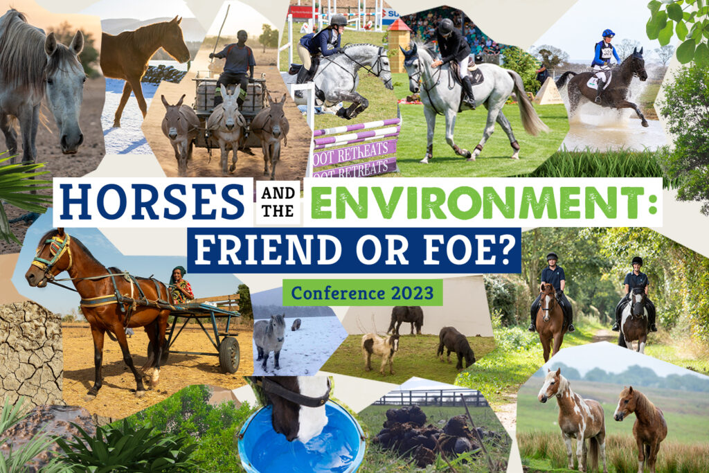 Collage of twelve different photographs of horses being ridden, driven or in a field environment.