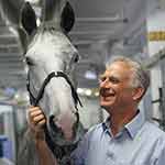 Chris Riggs wearing a pale blue shirt holding the head of a grey horse in an indoor stable yard