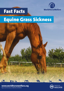 The front cover of the Fast Facts Equine grass sickness guide showing a chestnut horse grazing in a field surrounded by trees.