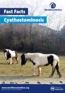 The front cover of the Fast Facts Cyathostominosis guide showing two piebald horses in a field surrounded by trees