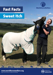 The front cover of the Fast Facts guide to Sweet itch showing a horse wearing a white sweet itch rug enjoying having their face scratched by a World Horse Welfare groom.