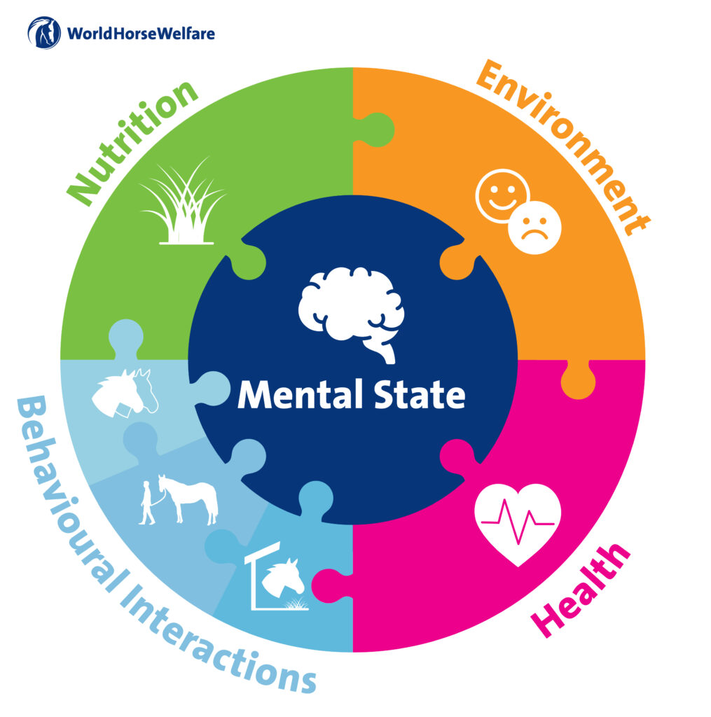 jigsaw of how the 5 domains of animal welfare fit together to make a complete welfare circle