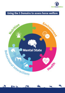 jigsaw of how the 5 domains of animal welfare fit together to make a complete welfare circle