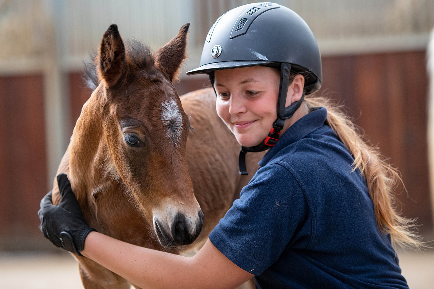Uncovering the effect of cost of living crisis on those caring for horses