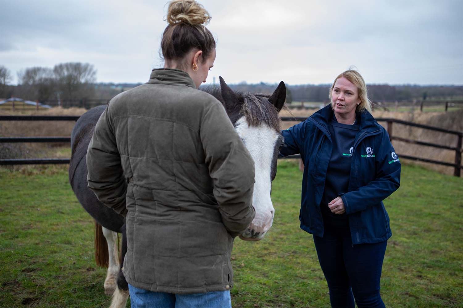 New Help for Horse Owners service launched to provide compassionate advice and support to those struggling to care for their animals.