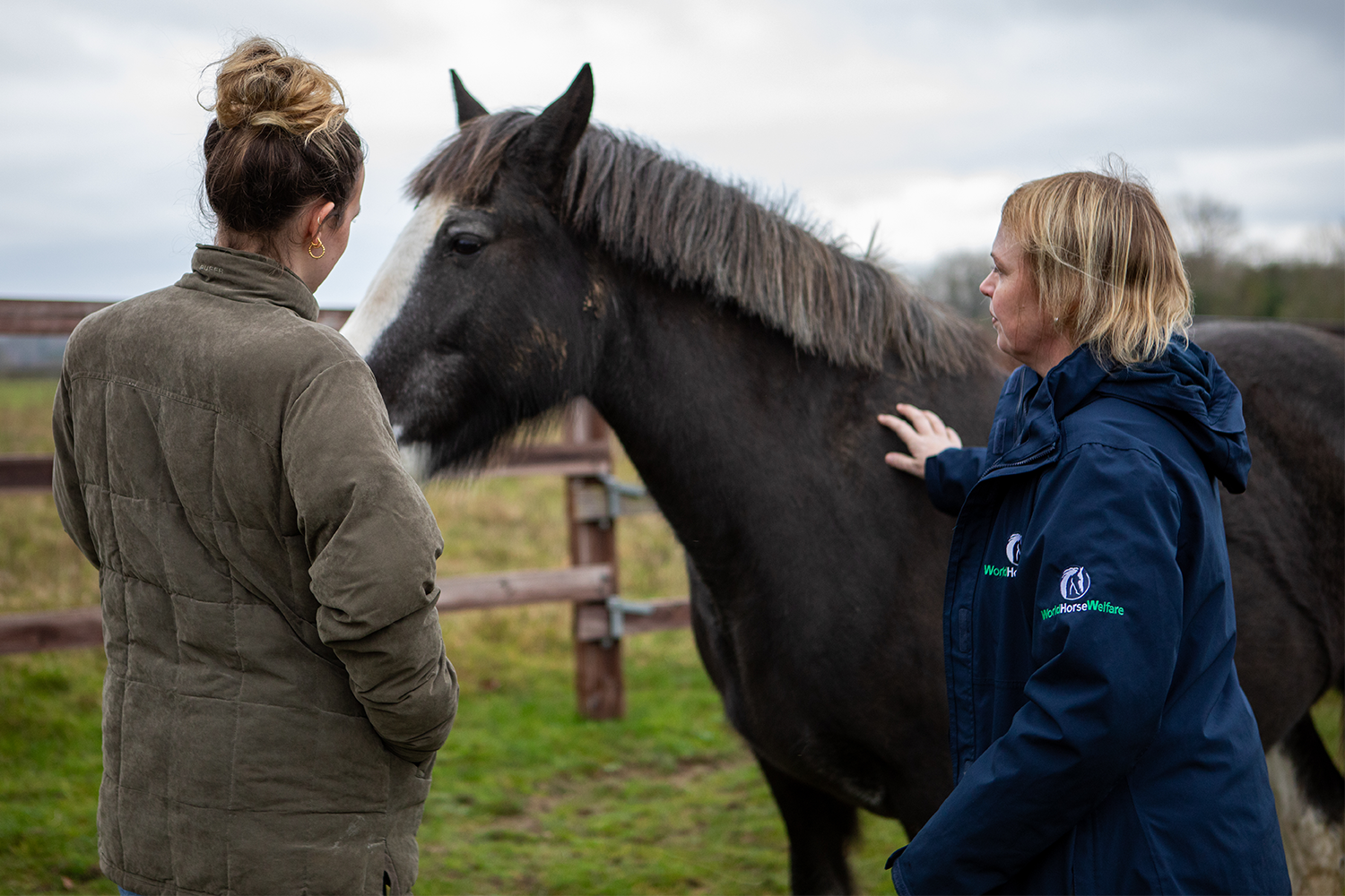 Help for Horse Owners