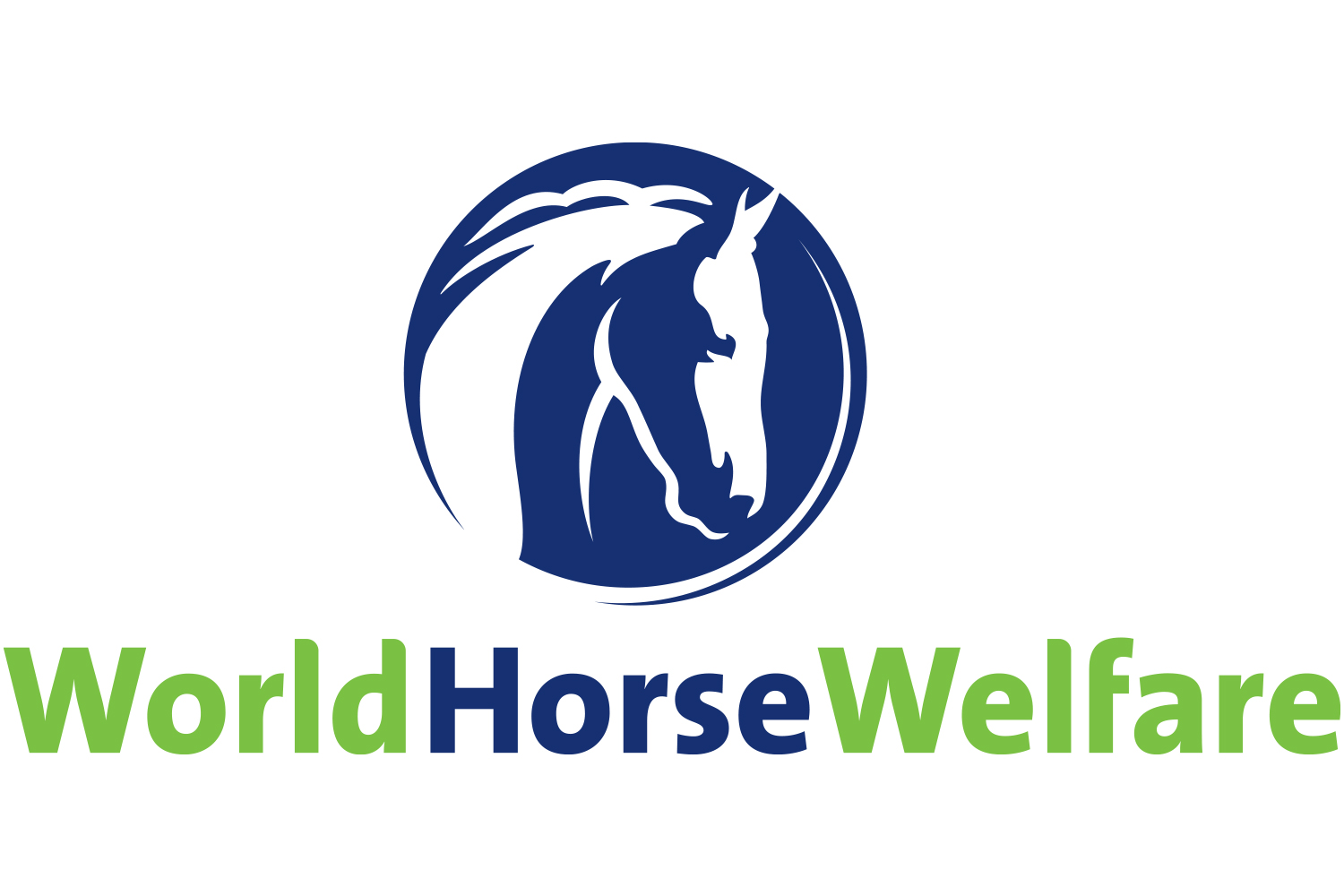 World Horse Welfare statement in response to Charlotte Dujardin’s provisional suspension